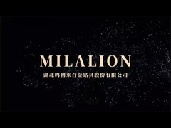 Exposition de Bauma 2024